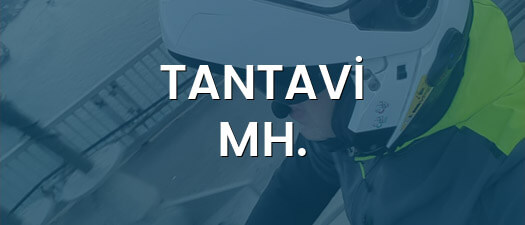 Tantavi Mh.